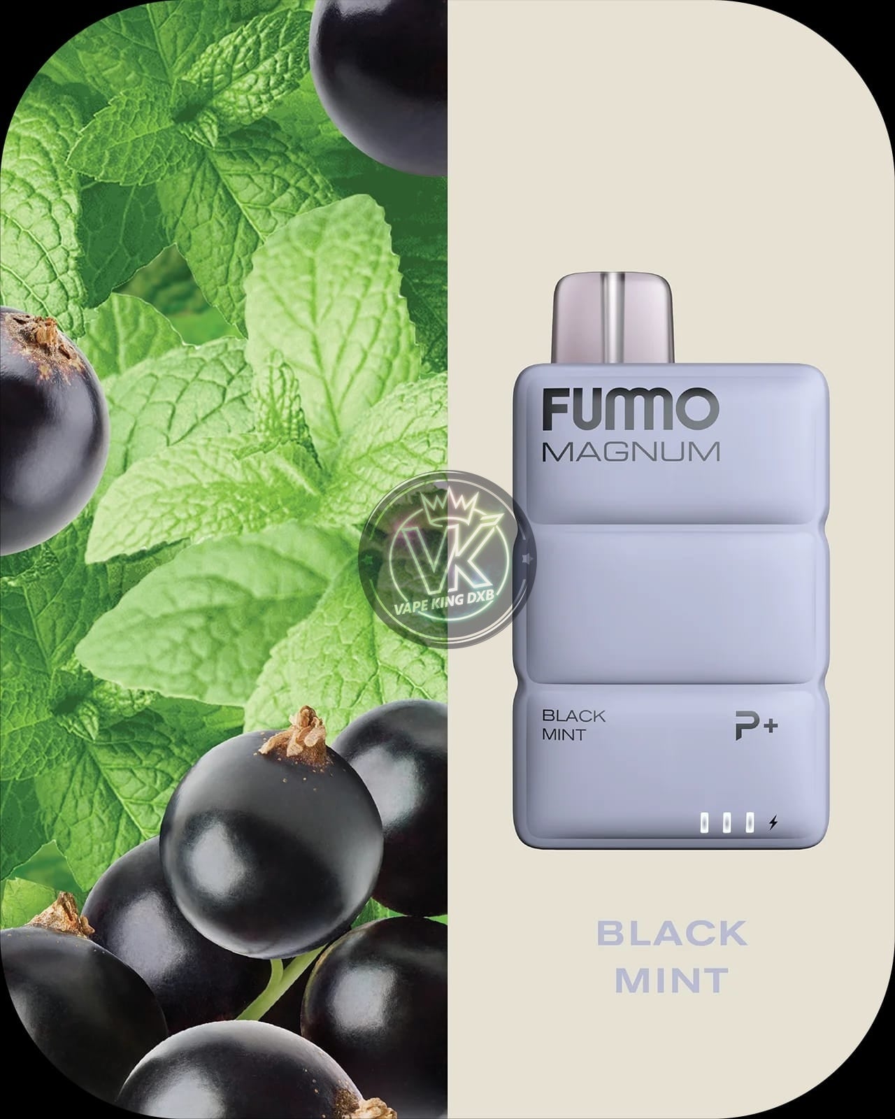 Fummo Magnum 8000 puffs RECHARGEABLE DISPOSABLE
