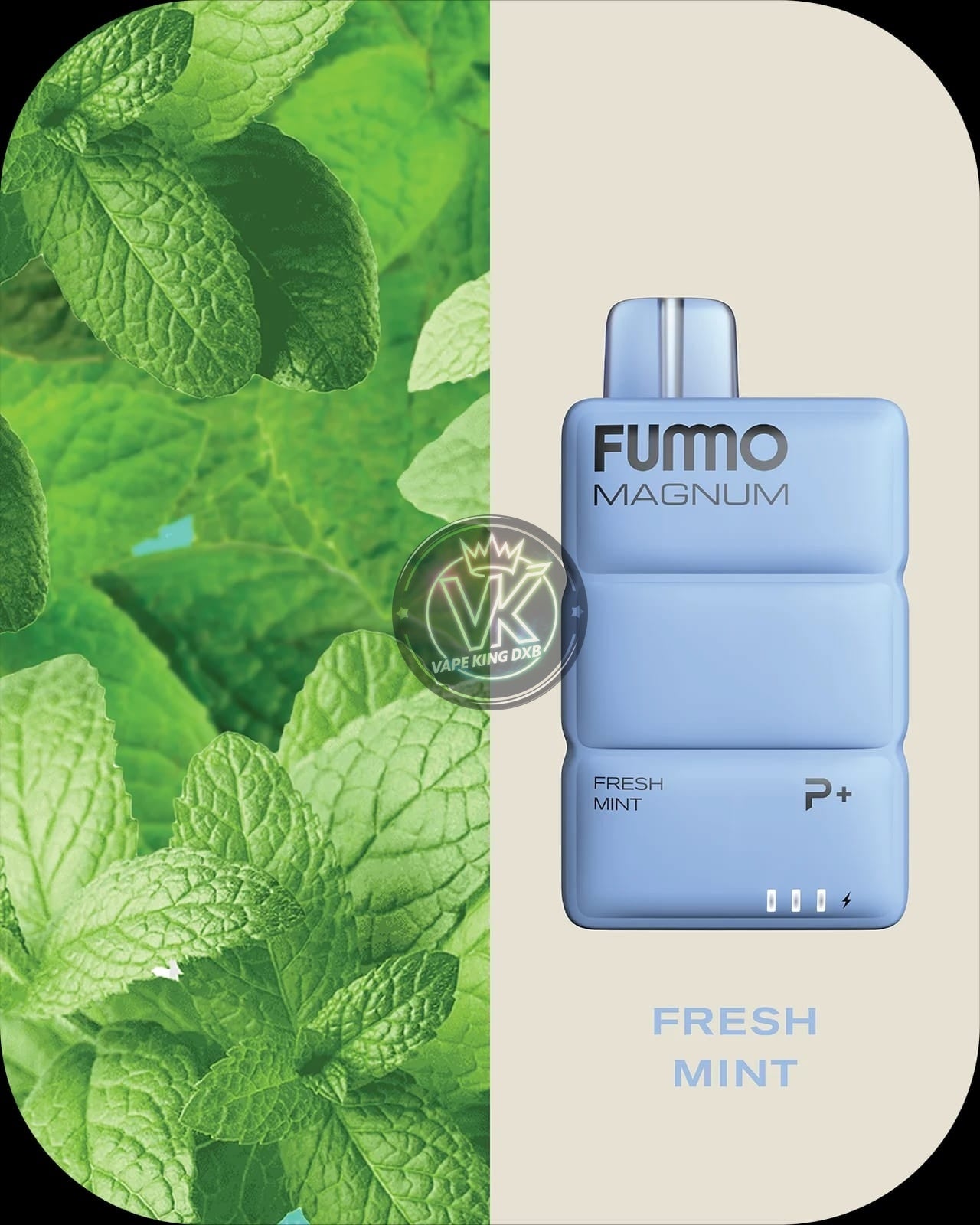 Fummo Magnum 8000 puffs RECHARGEABLE DISPOSABLE