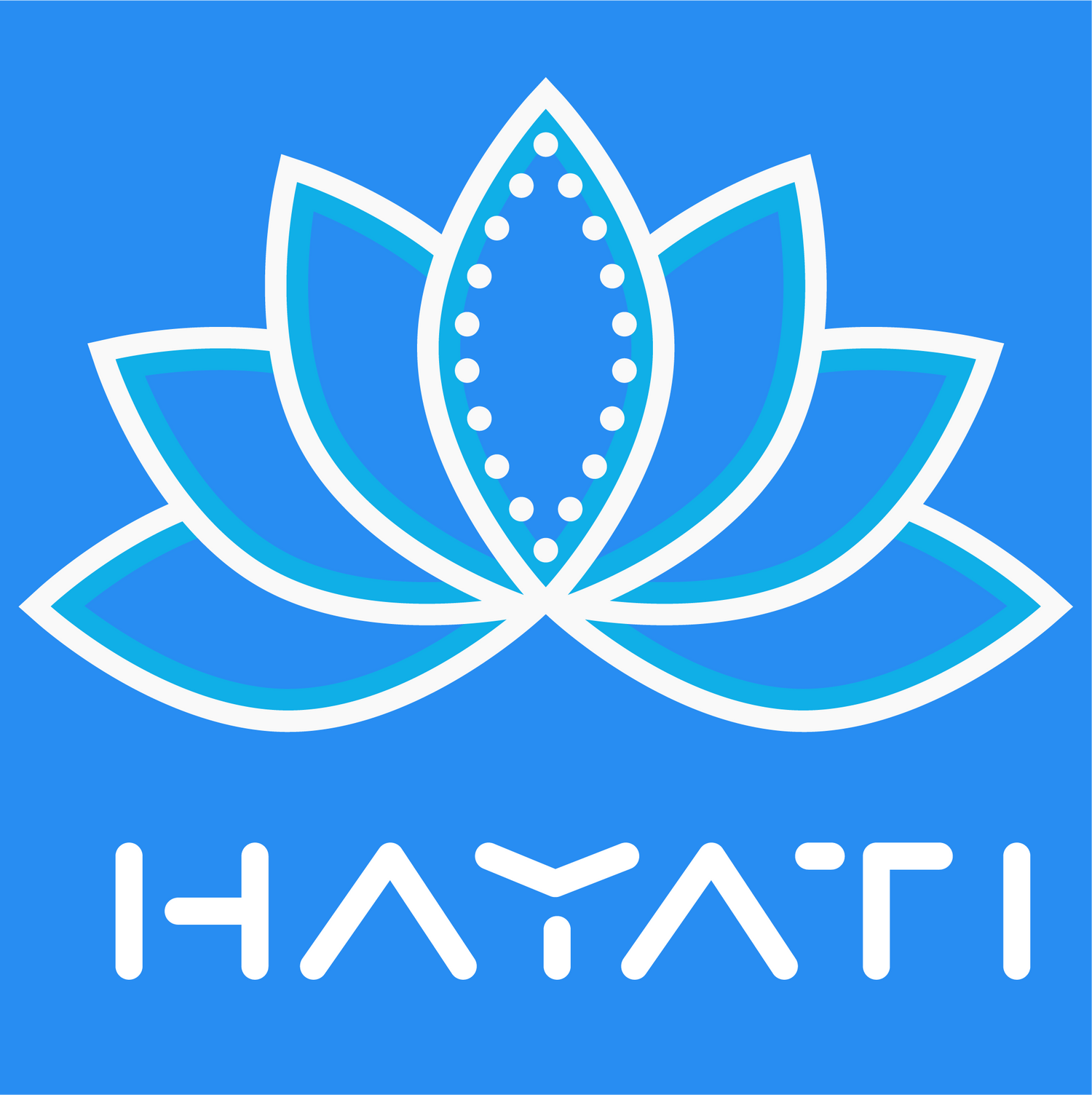 hayati vape Uae at vape king dxb