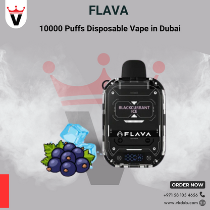 Flava Disposable Vapes 