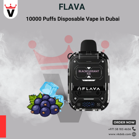 Flava Disposable Vapes 