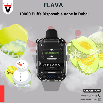 Flava Disposable Vapes 