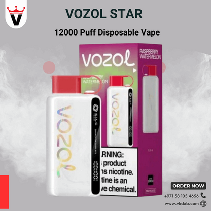 Vozol Star 12000 Puffs Disposable Vape in UAE