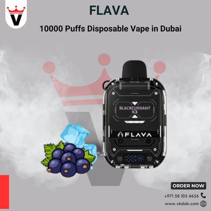 Flava Nimmbox 10000 Puffs Disposable Vapes in Dubai - Vape king dxbMelon Feeze