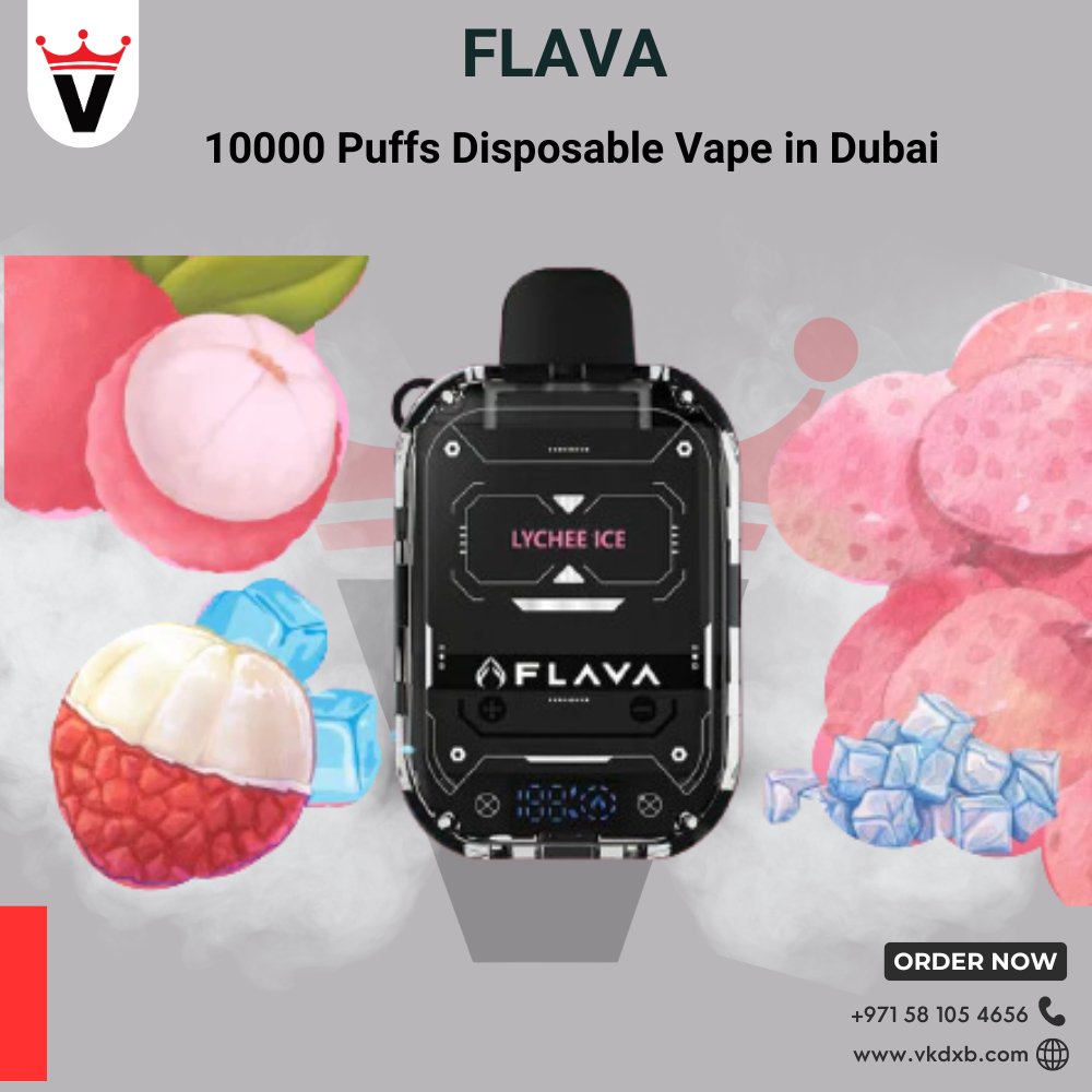 Flava Nimmbox 10000 Puffs Disposable Vapes in Dubai - Vape king dxbMelon Feeze