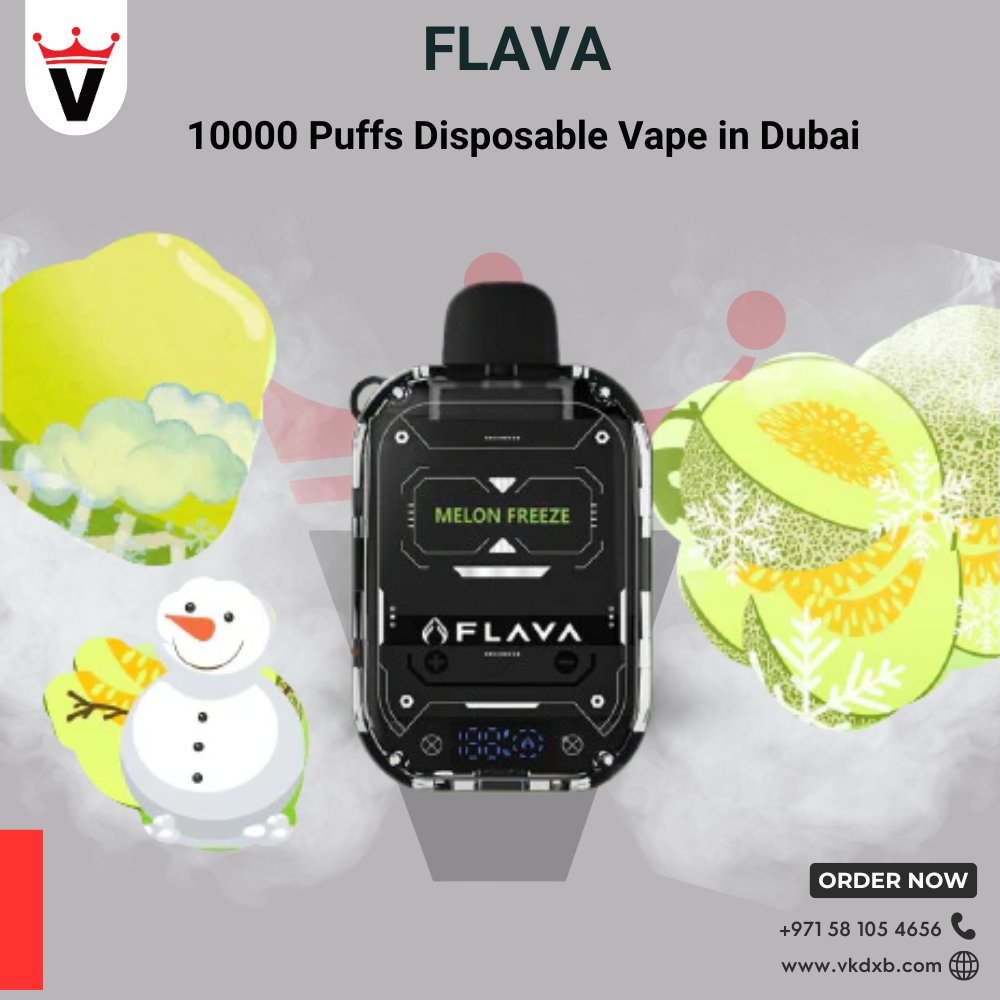 Flava Nimmbox 10000 Puffs Disposable Vapes in Dubai - Vape king dxbMelon Feeze