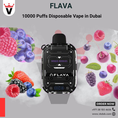 Flava Nimmbox 10000 Puffs Disposable Vapes in Dubai - Vape king dxbMelon Feeze