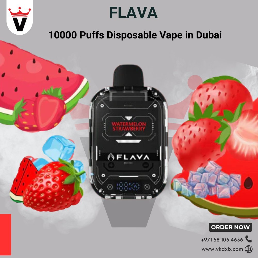 Flava Nimmbox 10000 Puffs Disposable Vapes in Dubai - Vape king dxbMelon Feeze