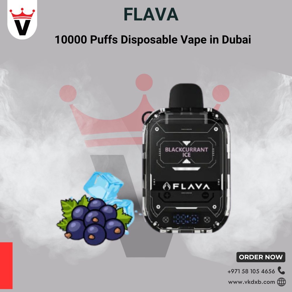 Flava Nimmbox 10000 Puffs Disposable Vapes in Dubai - Vape king dxbMelon Feeze