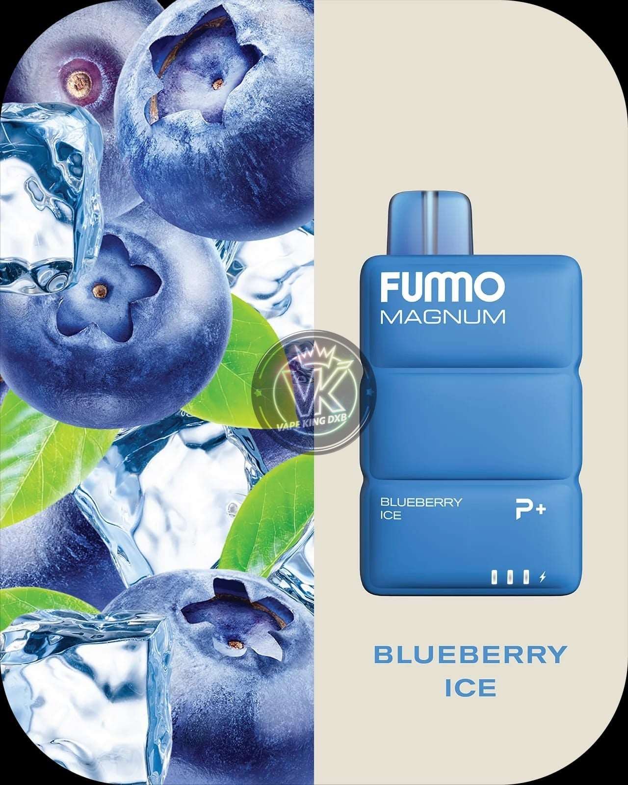 Fummo Magnum 8000 puffs RECHARGEABLE DISPOSABLE